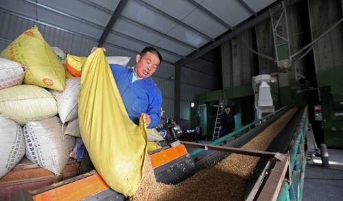 糧食收購(gòu)站短信宣傳案例 糧食收購(gòu)站短信宣傳案例